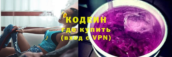 прущие грибы Балабаново