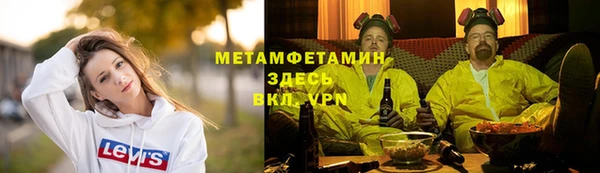 прущие грибы Балабаново
