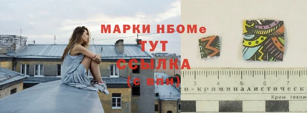 прущие грибы Балабаново