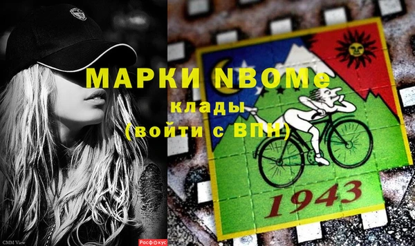 сатива Балахна