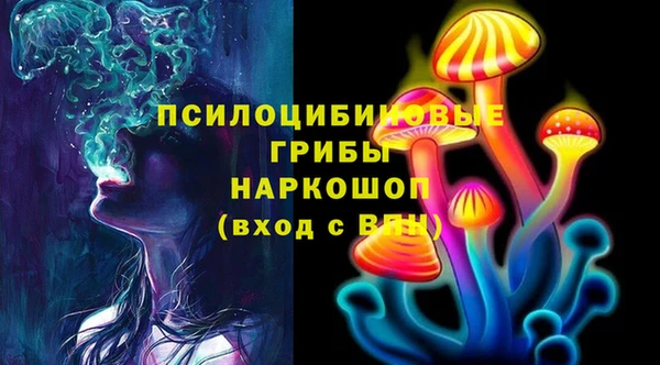 прущие грибы Балабаново