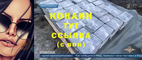 прущие грибы Балабаново