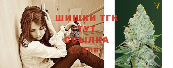 сатива Балахна