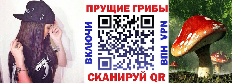 shop состав  наркошоп  Бобров  Псилоцибиновые грибы прущие грибы 